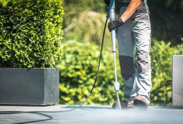 Best Sidewalk and Walkway Cleaning  in San Joaquin, CA