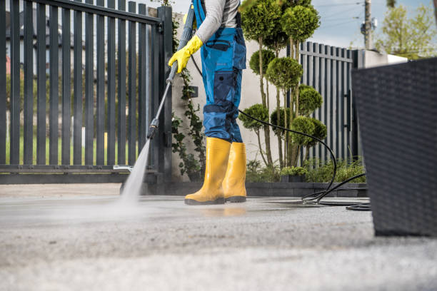 Best Roof Washing  in San Joaquin, CA